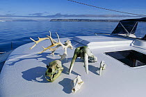 Antlers, bear skull, walrus skull and other skeleton remains of Arctic animals laid out on board a boat, Spitsbergen, Svalbard, Norway.