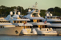 Large motoryachts tied alongside the dock, Newport, Rhode Island, USA.