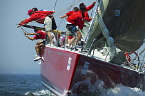 Preparing the spinnaker for rounding the windward mark aboard a race yacht.