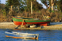 Loca men leaning on a wooden fishing boat on a pebble beach with a smaller boat moored near shore, Cuba.