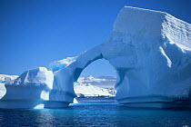 A natural archway weathered in an iceberg, Antarctic Peninsula.