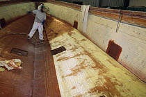 Laying resin & fibreglass at a powerboat building facility, Rhode Island, USA.
