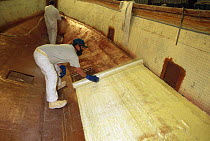 Laying resin & fibreglass at a powerboat building facility in Rhode Island, USA.