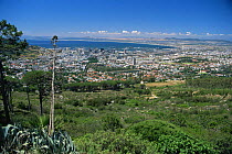 View across Cape Town from the top of Table Mountain, South Africa, 1994.