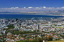 View across Cape Town from the top of Table Mountain, South Africa.