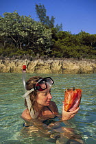 Woman holding a conch shell in shallow waters, Jobes Cay, Abacos, Bahamas.