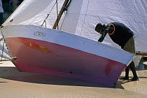 Local boat being prepared for the Grenada Sailing Festival, Grenada, Caribbean.