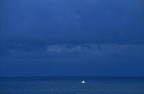 Powerboat heading home under stormy skies, Caribbean.