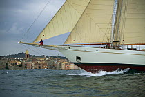 Crew member sitting on the bowsprit of classic, wooden yacht "Adix" sailing past seafront houses during the Nioulargue sailing festival, St Tropez, France.