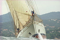A crew member climbing the bowsprit of classic, wooden yacht "Adix" during the Nioulargue sailing festival, St Tropez, France.