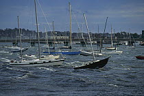 Boats moored off the coast of New England during Hurricane Bob, Rhode Island, USA, 1991.