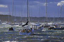 Hurricane force winds blowing across boats moored at Jamestown Island, Rhode Island, USA.