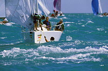 Melges 24 Zig Zag rescuing a crew member from the water, Key West Race Week, Florida, USA, 2000.