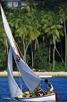 Locals racing a traditional work boat at the Grenada Sailing Festival, Grenada, Caribbean.