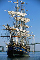 Tall Ship "Bounty" in front of Newport Bridge, Newport, Rhode Island, USA.