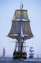 Tall Ship fleet sailing off Newport, Rhode Island, USA.