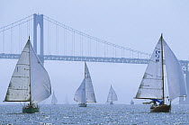 Yachts with jibs goose-winged out, sailing under the Newport Bridge, Rhode Island, USA.