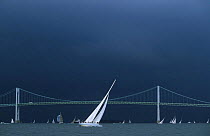 12m "Columbia" sailing under dark skies during the Museum of Yachting's annual regatta with the Newport bridge in the background, Rhode Island, USA.
