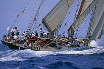 Nathaniel Herreshoff's schooner "Mariette" well known as "the Boston Sorcerer", built in 1915, racing at Antigua Classic Yacht Regatta 2005, Antigua, Caribbean.