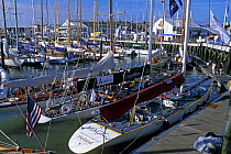 12 metres moored in Cowes Yacht Haven during the America's Cup Jubilee 2001, Isle of Wight, UK.