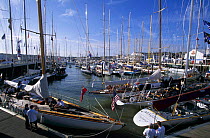 Classic yachts moored in Cowes Yacht Haven during the America's Cup Jubilee celebrations in 2001, Isle of Wight, UK.