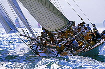 15 metre class gaff-rigged cutter "The Lady Anne", designed by William Fife, racing off Cowes, in the Solent, during the America's Cup Jubilee 2001, Isle of Wight, UK. ^^^She is one of the last yachts...