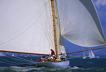 Hardy racing during the America's Cup Jubilee 2001, Isle of Wight, UK.