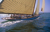 37m "Cambria" during the Cowes America's Cup Jubilee in 2001, Isle of Wight, UK. ^^^She was racing with just a jib and a staysail, the same rig used in 1928 when she was launched at Fairlie in Scotlan...