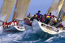Champosa and others racing upwind, Key West Race Week, Florida, USA.