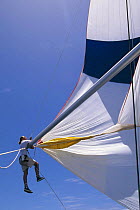 The bowman of "Colt Int" at the pole end to set up a spinnaker peel, Antigua Race Week, Antigua, Caribbean.