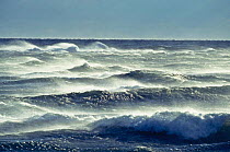 Hurricane force winds blowing over ocean waves.