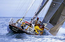 Ocean sailing aboard yacht "Actaea".