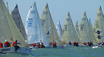 Melges 24 fleet after the start at Key West Race Week, Florida, 2005.