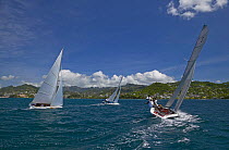 Locals racing traditional boats during Grenada Sailing Festival 2005, Grenada, Caribbean.