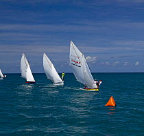 Locals racing traditional boats towards the mark during Grenada Sailing Festival 2005, Grenada, Caribbean.