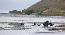 Tractor hauling out a fishing launch at low tide, South Island, New Zealand.