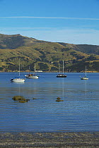 Cruising yachts anchored against green hills, South Island, New Zealand.