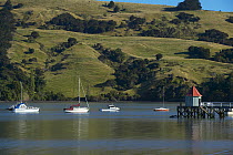 Cruising yachts anchored against green hills, South Island, New Zealand.