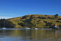 Cruising yachts anchored against a green hills, South Island, New Zealand.