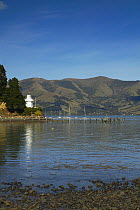 Cruising yachts anchored beside a jetty with green hills in the background, South Island, New Zealand.