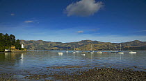 Cruising yachts anchored beside a jetty with green hills in the background, South Island, New Zealand.
