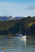 Fishing boat with a woodland backdrop in South Island, New Zealand.
