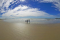 Three children playing on a long sandy beach, South Island, New Zealand.