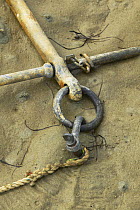 A fisherman's anchor lying in the sand, South Island, New Zealand.