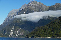 Yacht cruising through Milford Sound, Fiordland National Park, South Island, New Zealand.