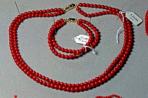 Red coral (corallium rubrium) necklace and bracelet for sale in a shop in Elba. The coral is a natural gem that is harvested from Elba's own coral reef, Italy.