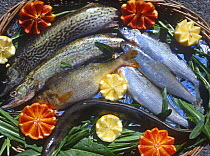 Lake fish displayed in a Trevignano Restaurant, Bracciano, Italy.