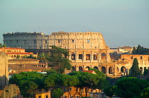 Colosseum, Rome. The Colosseum or Flavian Amphitheater was begun by Vespasian, inaugurated by Titus in 80 AD and completed by Domitian. ^^^Located on marshy land between the Esquiline and Caelian Hill...