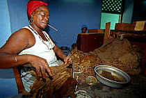 Woman working in a cigar factory in Pinar Del Rio, a small town about 50 Km from Havana, Cuba.