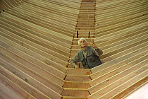 Shipwright at work with a plumb line during construction of a 38-metre wooden motorboat, at a boatbuilders in Fiumicino, Rome. ^^^It is rare today to see big boats such as this made of wood.